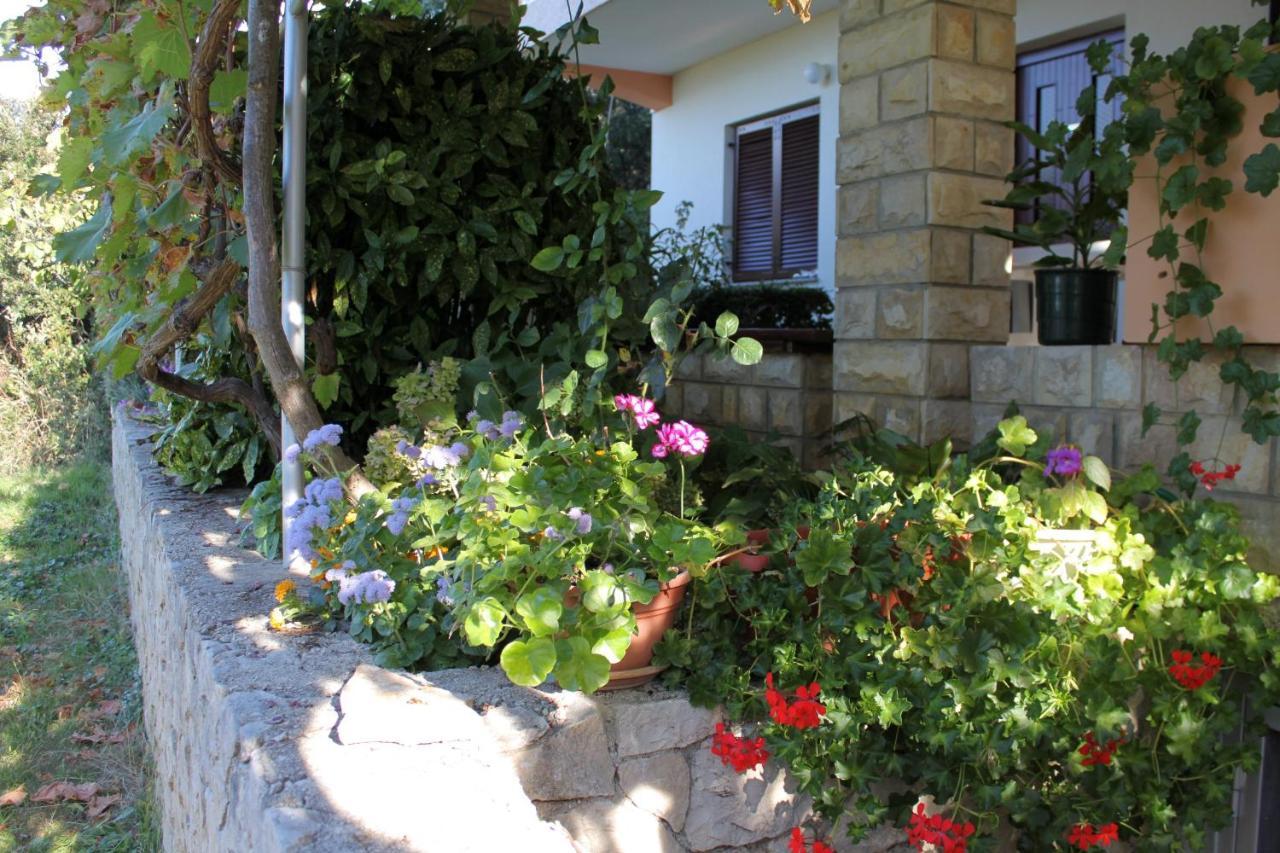 פטרצ'אנה Family Friendly Seaside Apartments Kozino, Zadar - 5749 מראה חיצוני תמונה